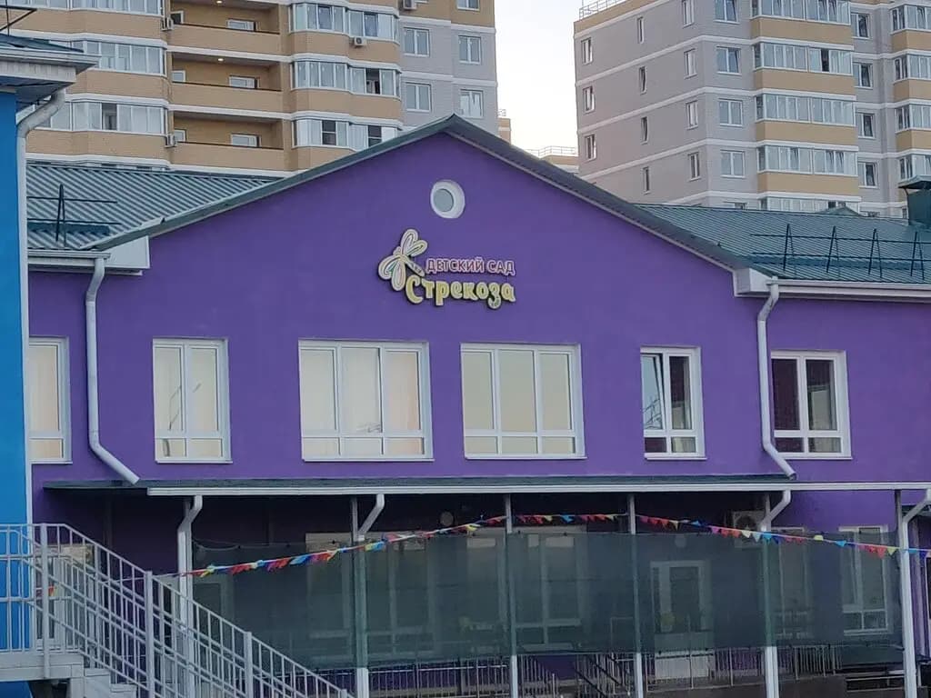 Центр развития ребёнка-детский сад № 204 Стрекоза — фото 4