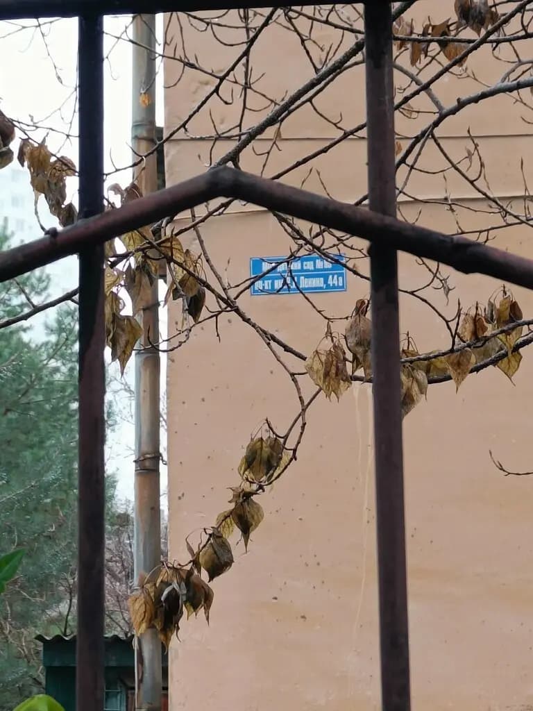 Детский сад № 95 Улыбка — фото 8