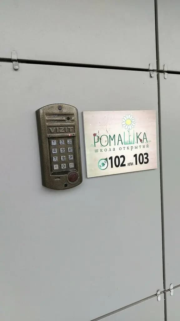 Ромашка — фото 3