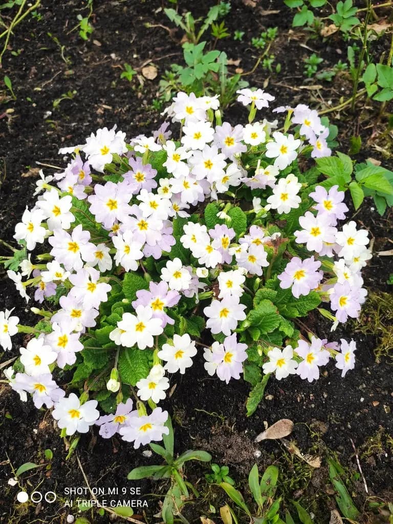Детский сад Конструктор успеха — фото 6