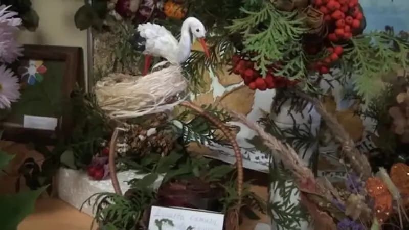 Школа № 656 имени А. С. Макаренко, дошкольное отделение — фото 4