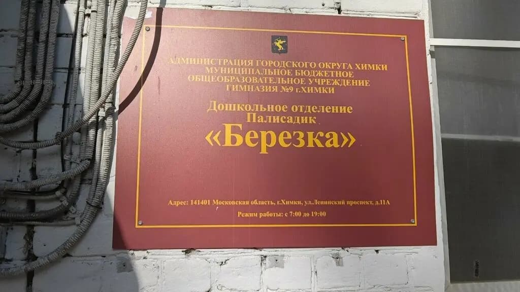 Палисадик Берёзка — фото 2