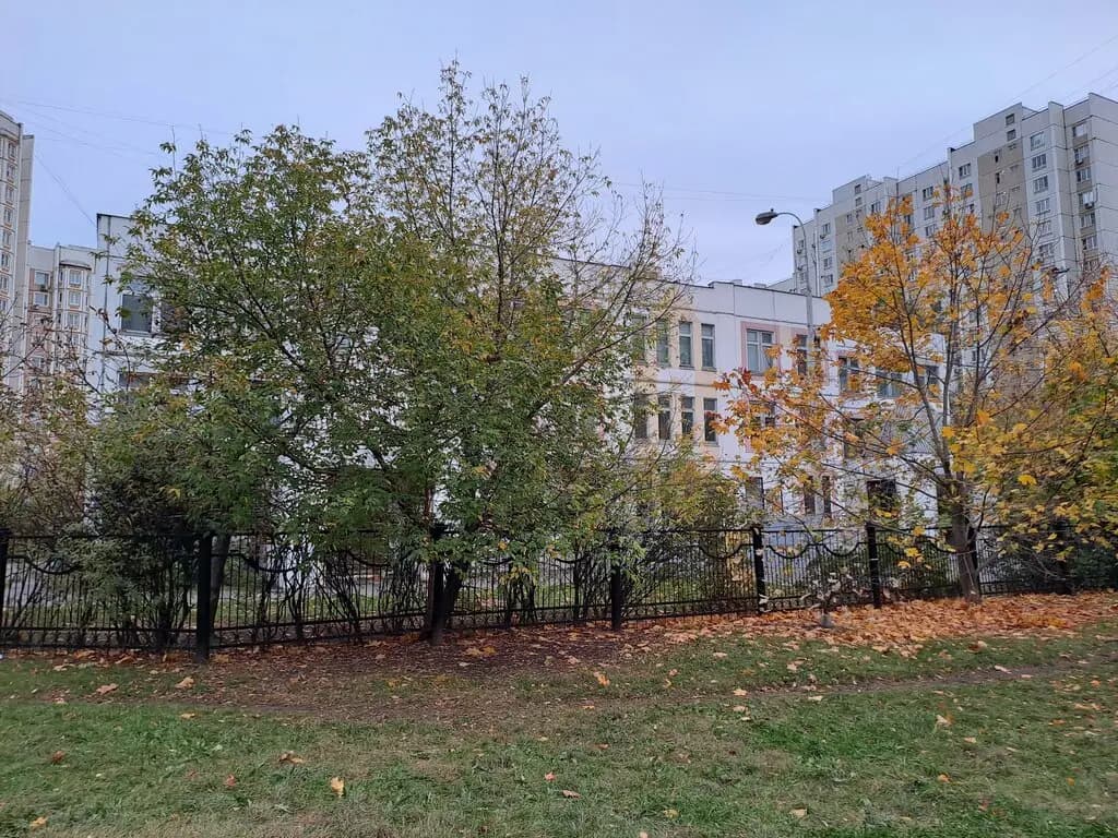 Школа имени Артёма Боровика, подразделение Алёнушка — фото 3