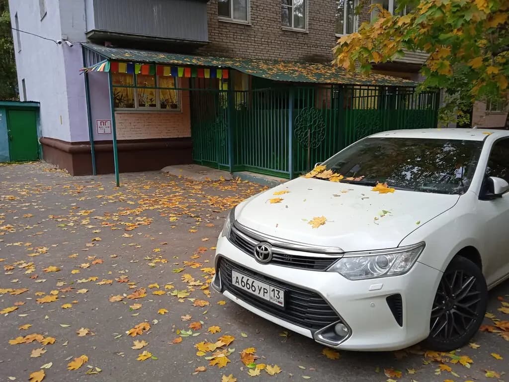Ласточка — фото 4