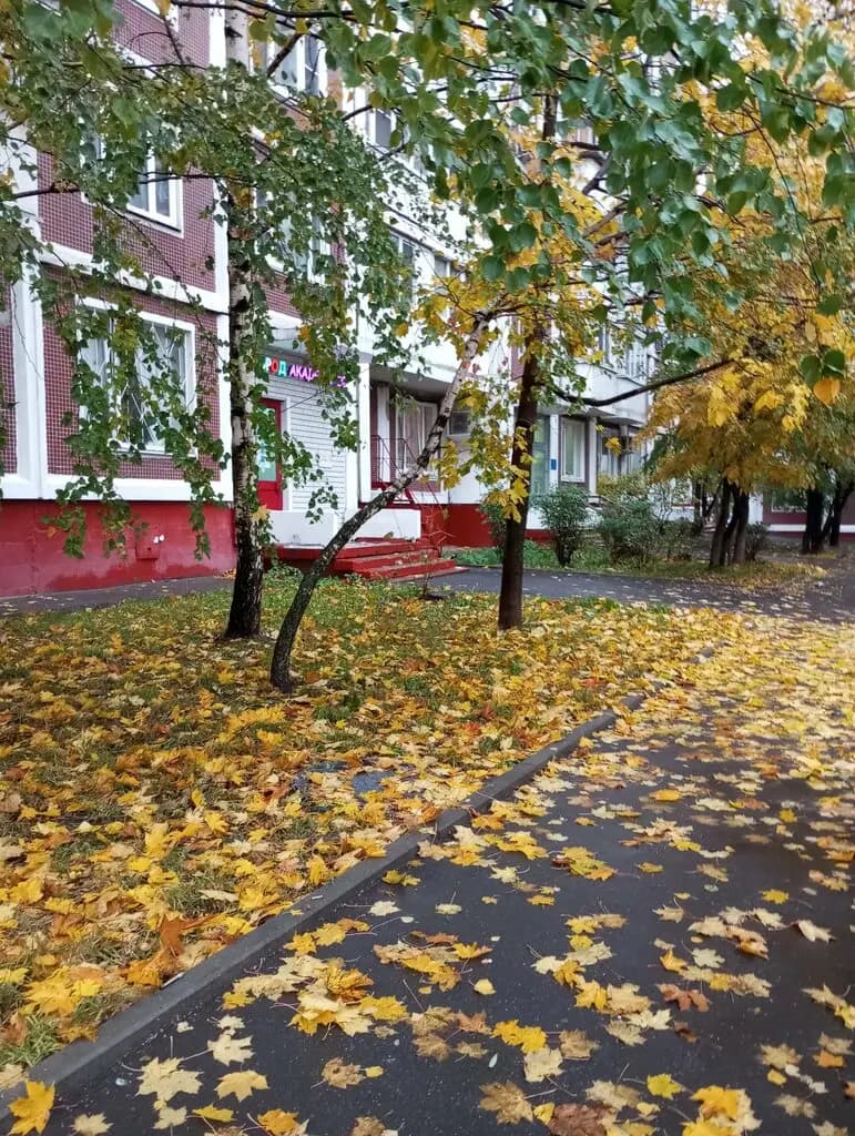 Город Академиков — фото 3