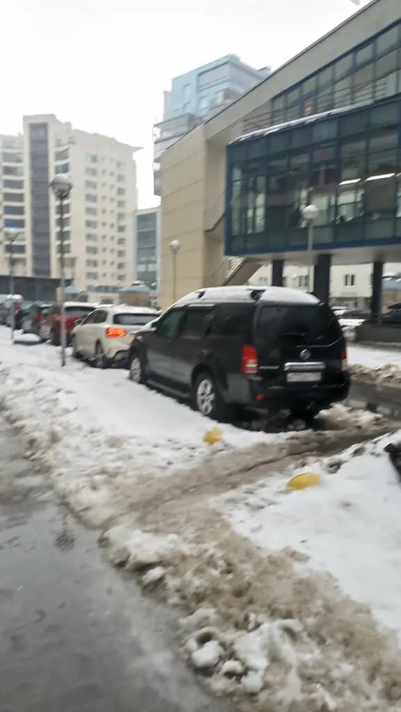 Зеленый островок — фото 7