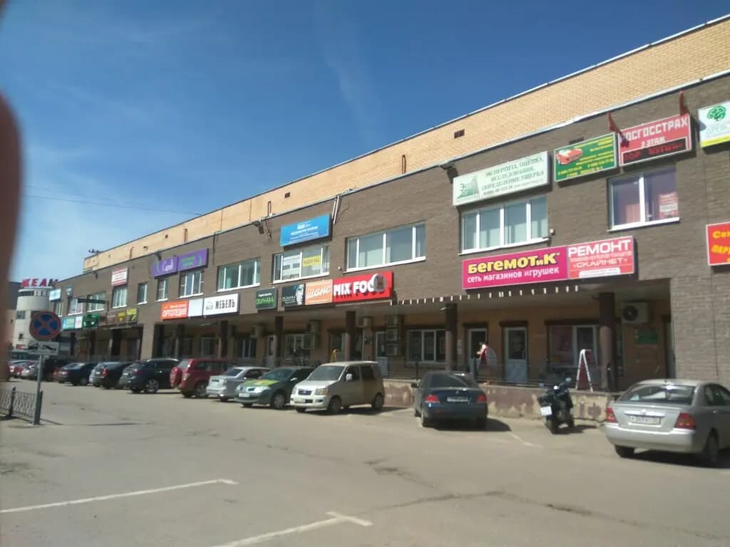 Пчелка — фото 2